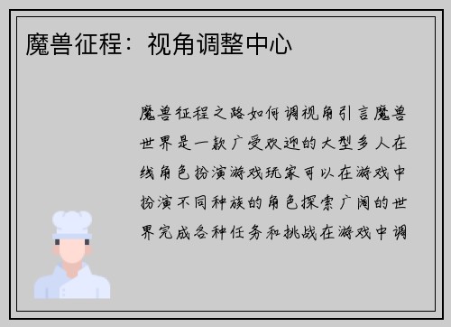 魔兽征程：视角调整中心